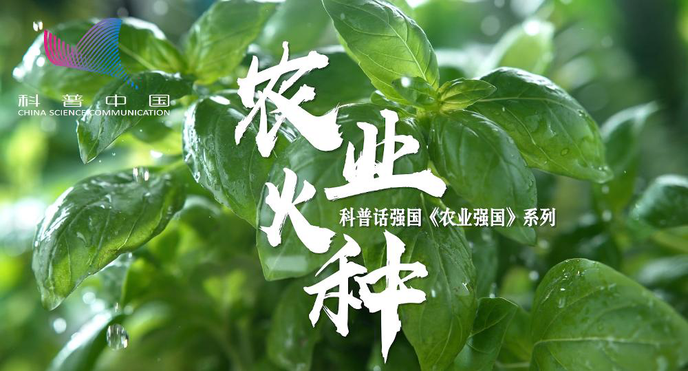 全國科普日丨農業火種
